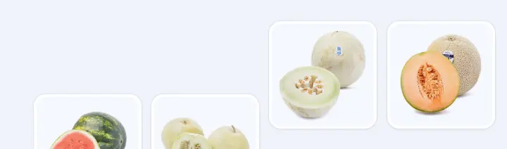 Frijoles y Habichuelas